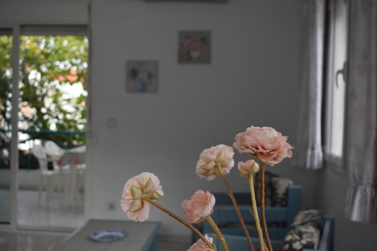 Niki Apartments بوليخرونو المظهر الخارجي الصورة